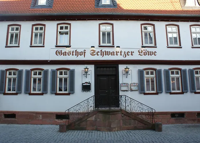 Hotel Schwartzer Loewe