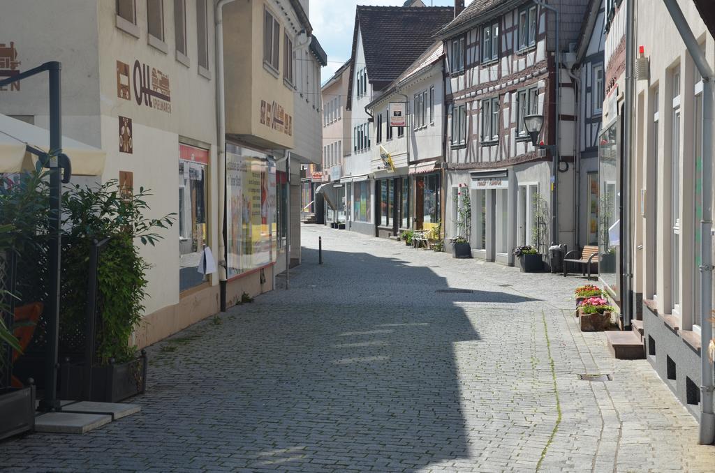 Schwartzer Loewe Babenhausen (Hessen)